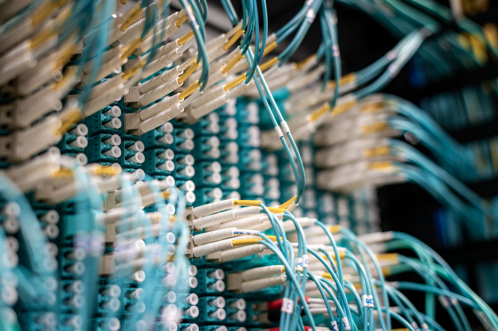 Hàng chục sợi patch cord quang hội tụ vào một patch panel quang duy nhất